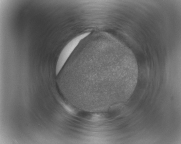 X0000068280130200605051851