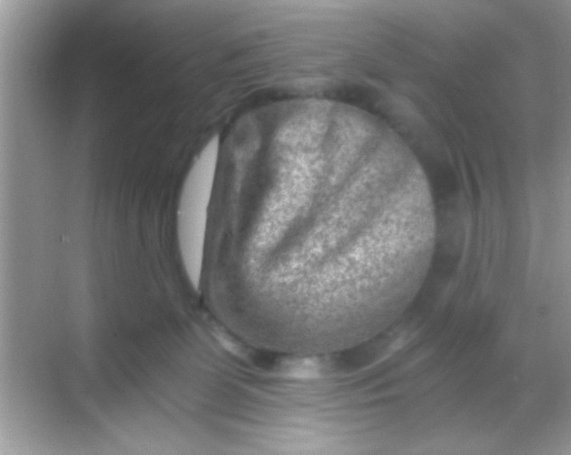 X0000068280131200605051851