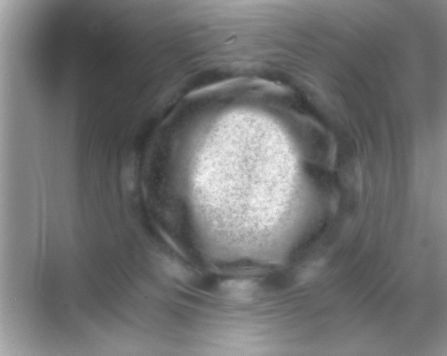 X0000068280133200605051851