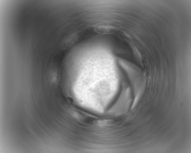 X0000068280134200605051851