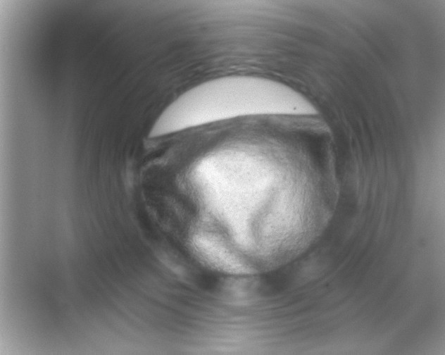 X0000068280135200605051851