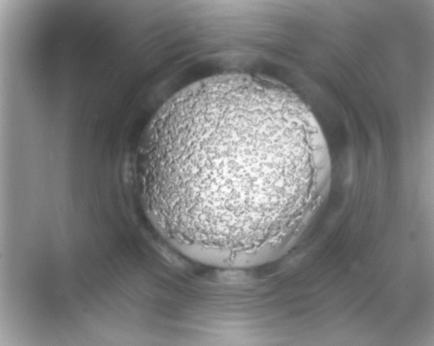 X0000068280137200605051851