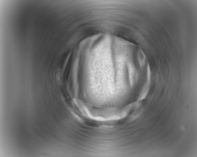 X0000068280141200605051851