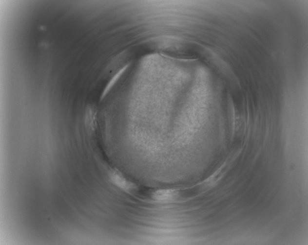 X0000068280142200605051851