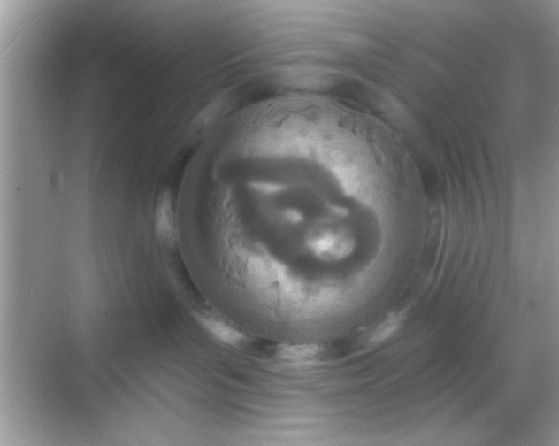 X0000068280143200605051851