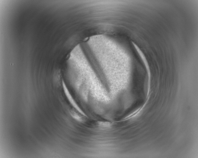 X0000068280144200605051851