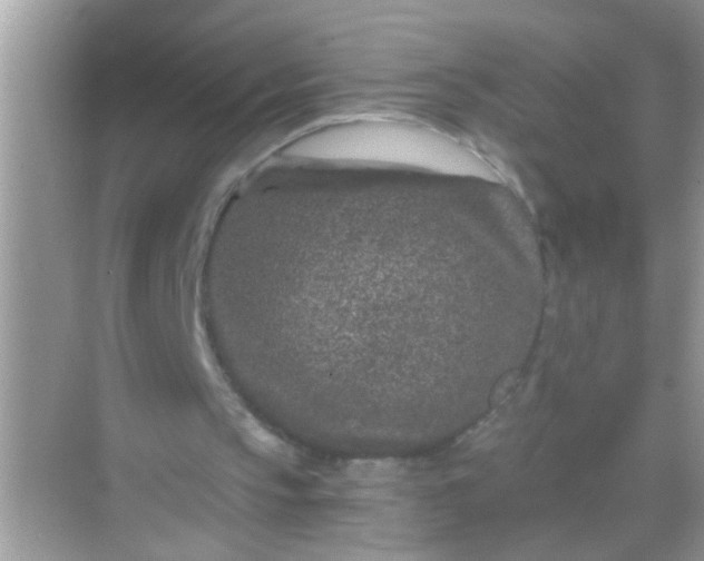 X0000068280145200605051850