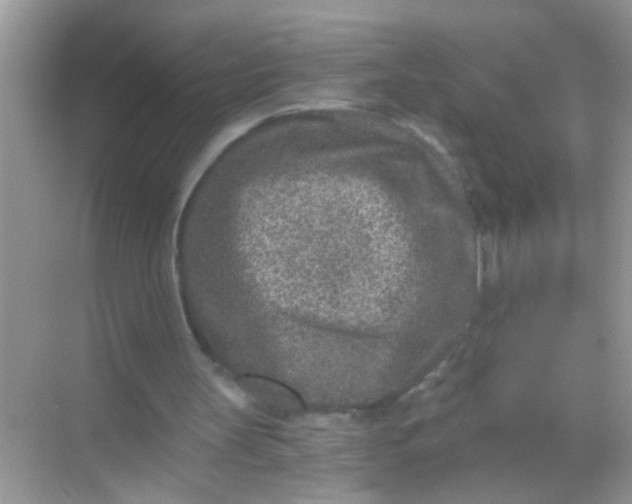 X0000068280147200605051850