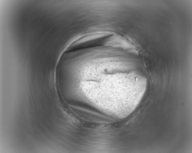 X0000068280148200605051850