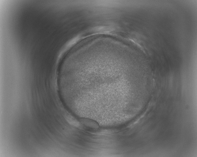 X0000068280149200605051850