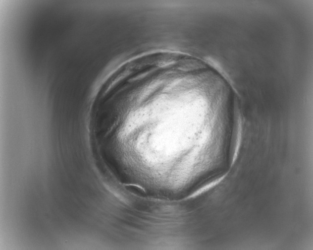 X0000068280151200605051850