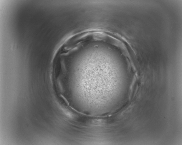 X0000068280152200605051850