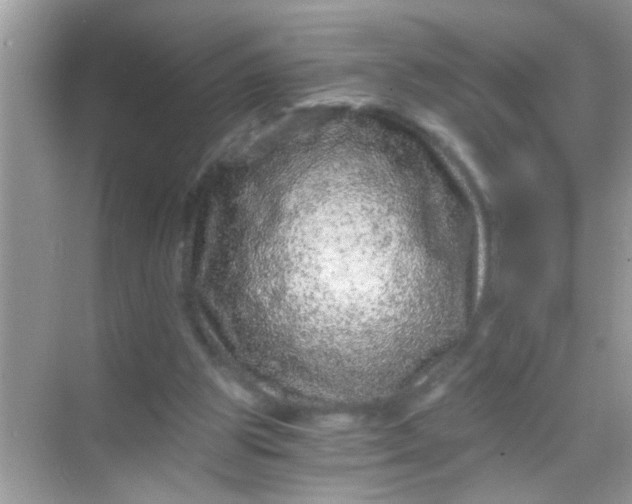 X0000068280153200605051850