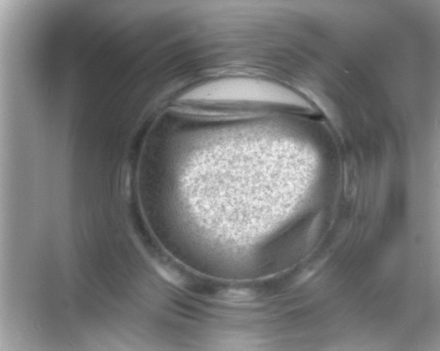 X0000068280157200605051850