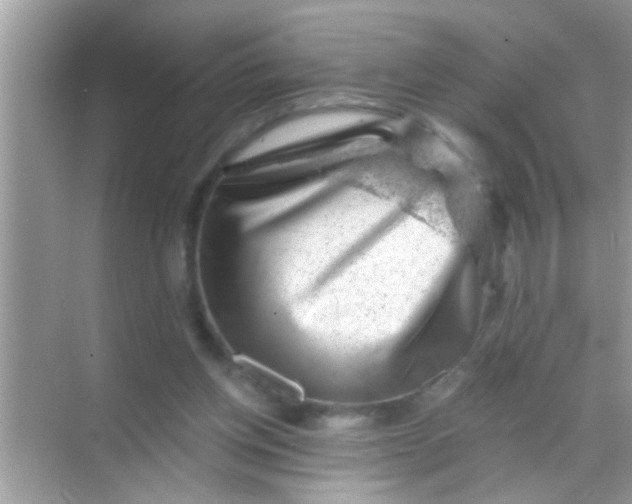 X0000068280158200605051850