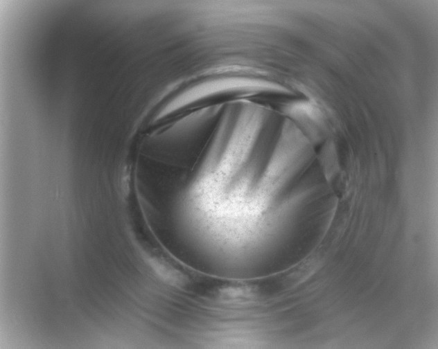 X0000068280160200605051850