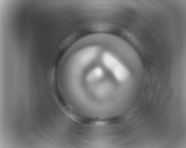 X0000068280163200605051850