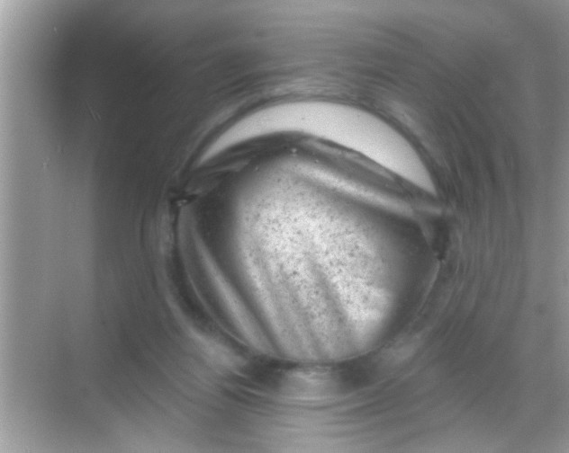 X0000068280164200605051850