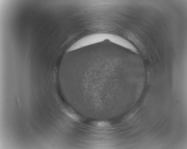 X0000068280165200605051850