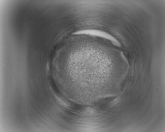 X0000068280166200605051850