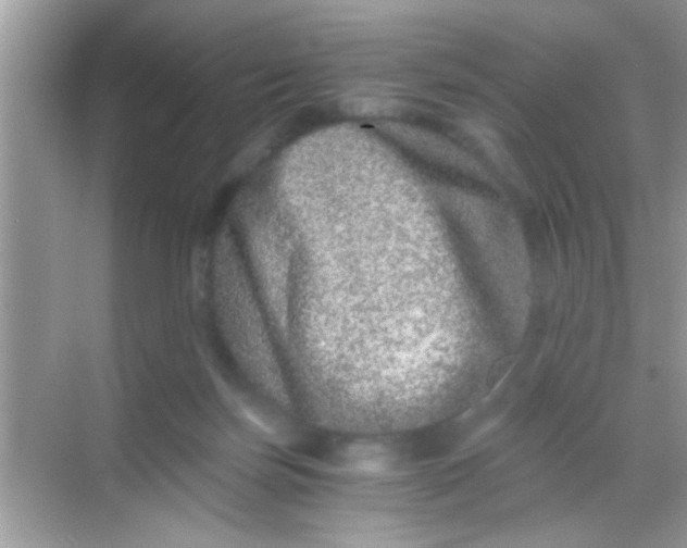 X0000068280171200605051851