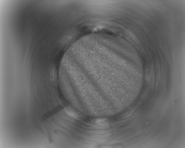 X0000068280173200605051851