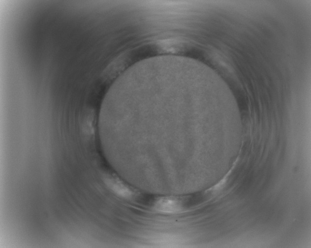 X0000068280174200605051851