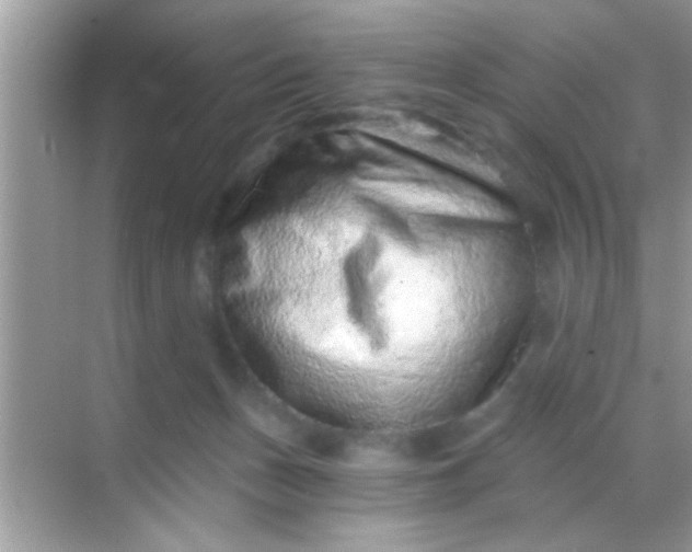 X0000068280175200605051851