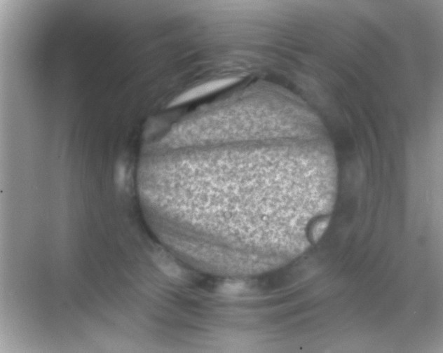 X0000068280177200605051851