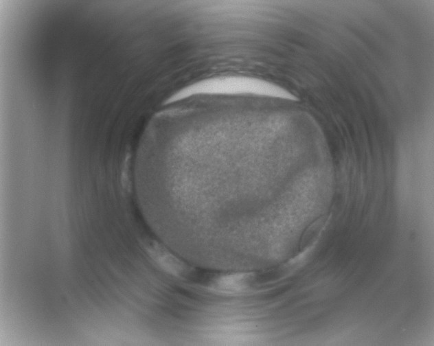 X0000068280178200605051851