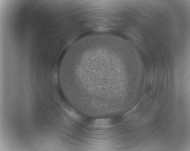 X0000068280179200605051851