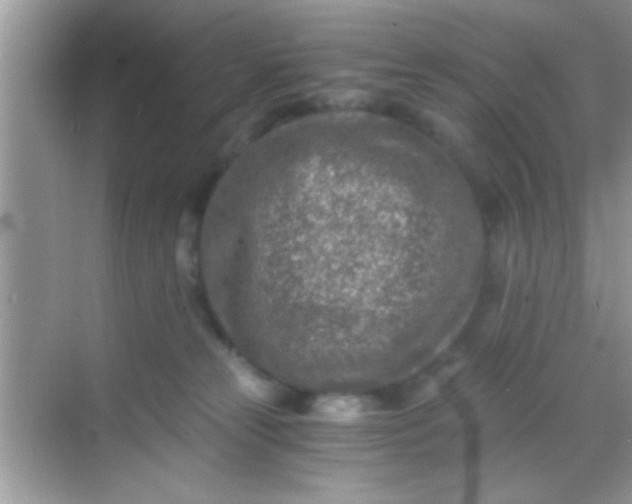 X0000068280181200605051851