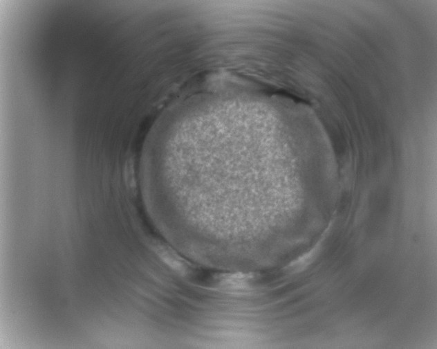 X0000068280182200605051851