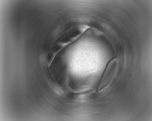 X0000068280184200605051851