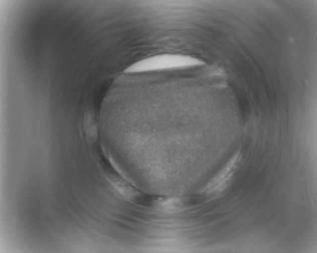 X0000068280186200605051851