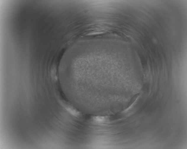 X0000068280187200605051851