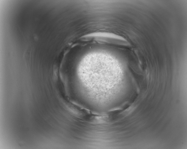 X0000068280188200605051851