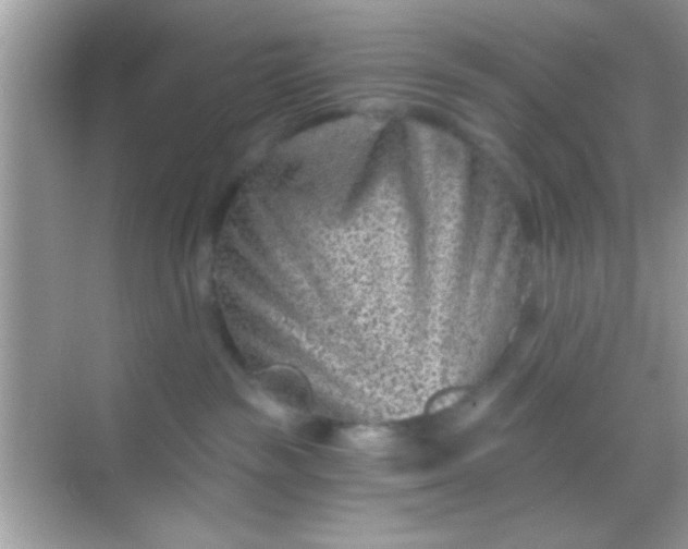 X0000068280189200605051851