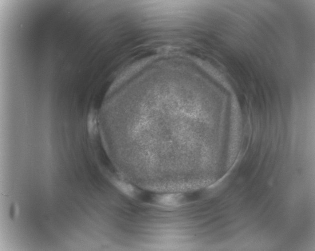 X0000068280191200605051851