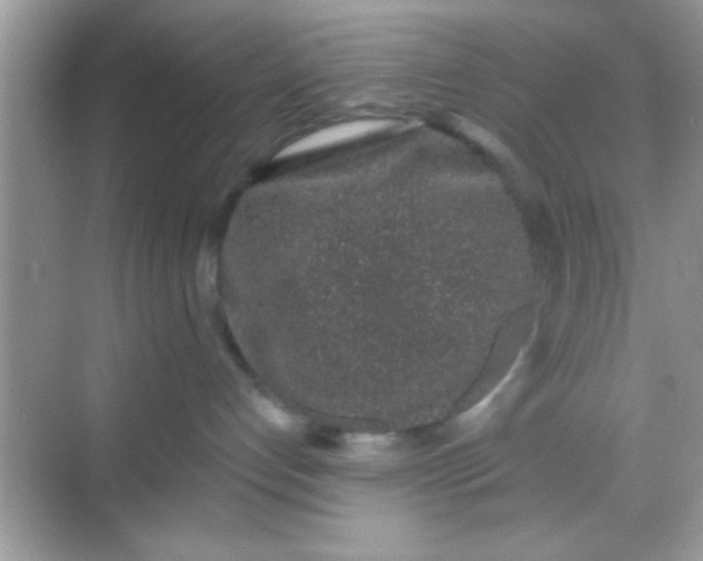 X0000068280192200605051851