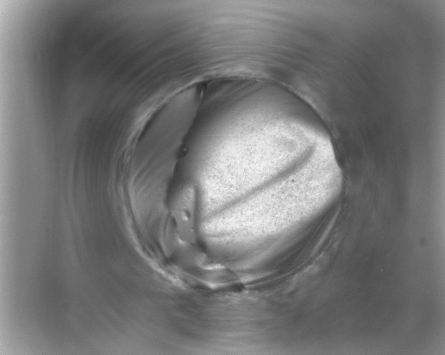 X0000068280193200605051850