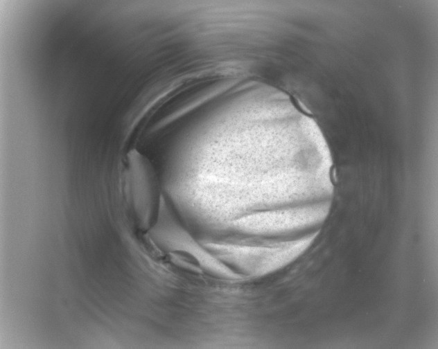 X0000068280194200605051850