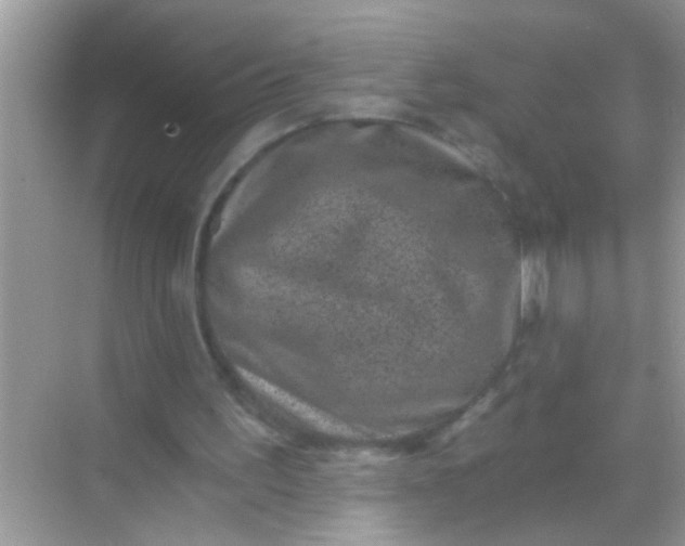 X0000068280195200605051850