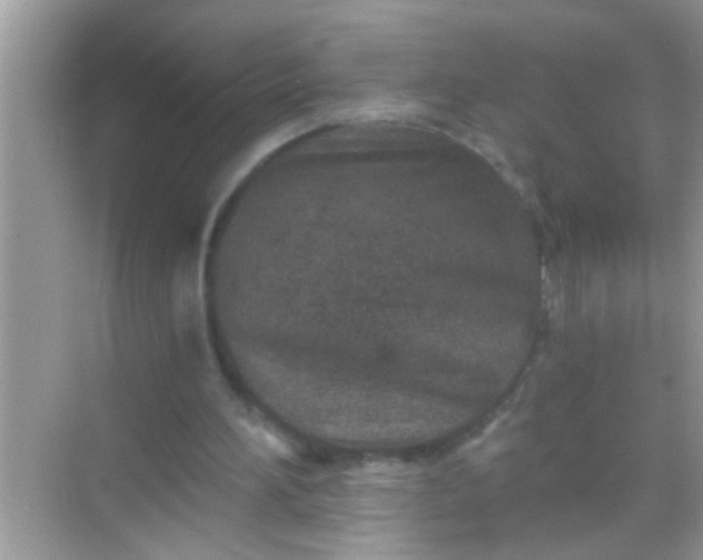 X0000068280196200605051850