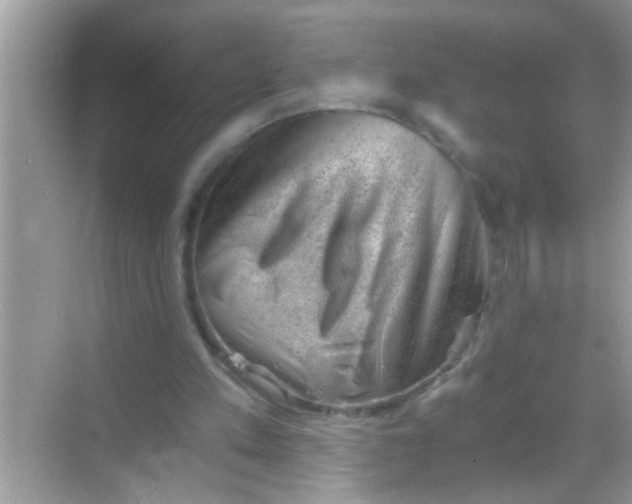 X0000068280197200605051850