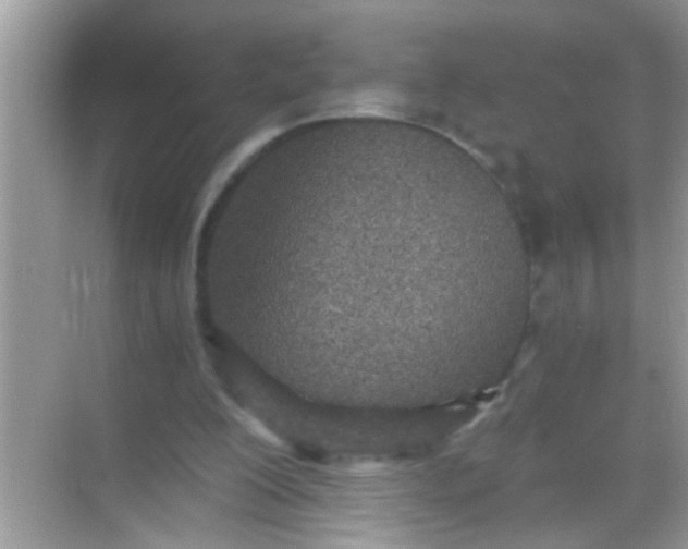 X0000068280200200605051850