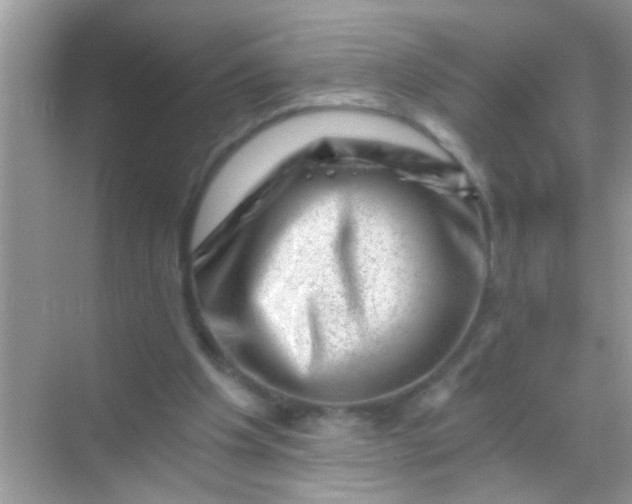 X0000068280201200605051850