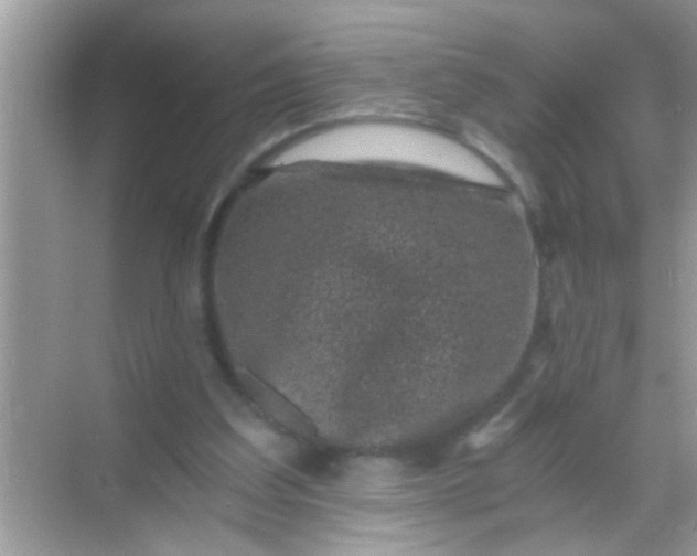 X0000068280203200605051850