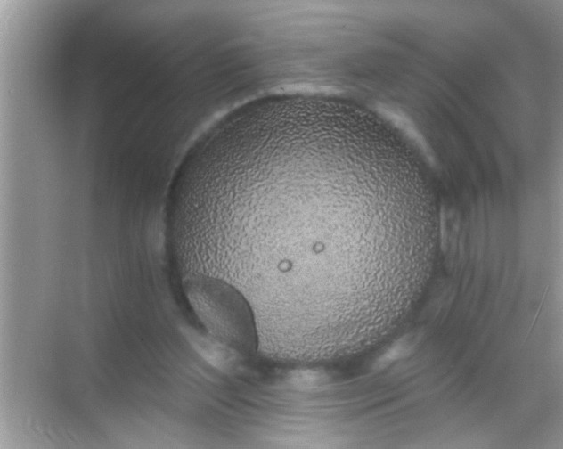 X0000068280204200605051850