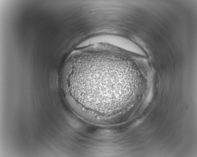 X0000068280205200605051850